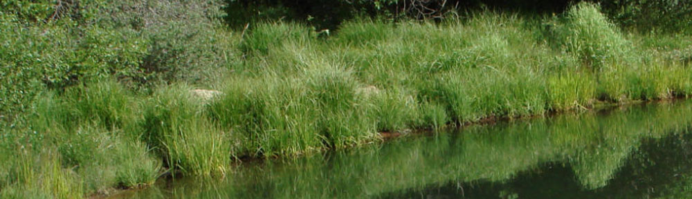 Harris Park Metropolitan District (HPMD)